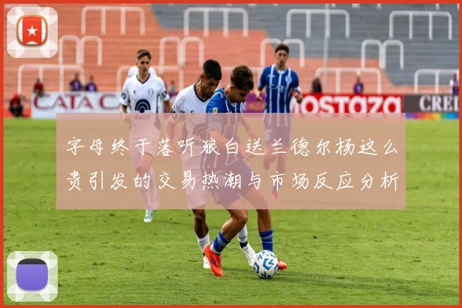 字母终于落听狼白送兰德尔杨这么贵引发的交易热潮与市场反应分析