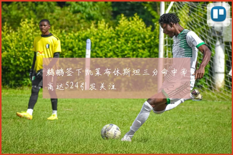 鹈鹕签下凯莱布休斯坦三分命中率高达524引发关注